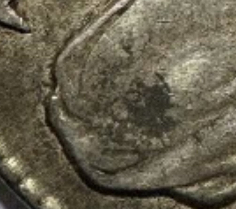 1825-O-108-Capped-Bust-Half